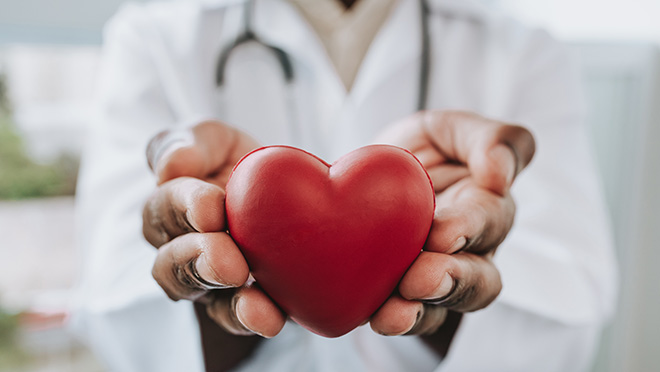 A doctor’s hands holding a heart shaped object.