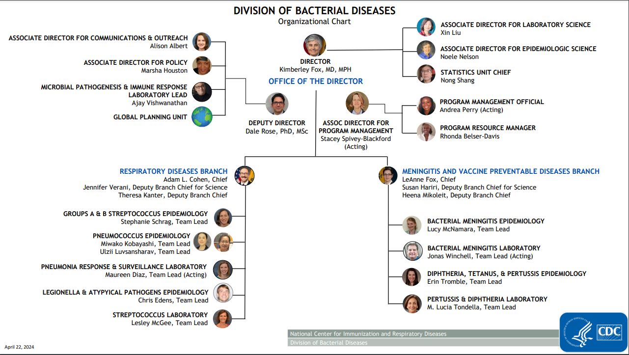 Division of Bacterial Diseases Organizational Chart