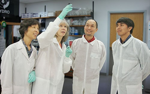 lab workers examine sample
