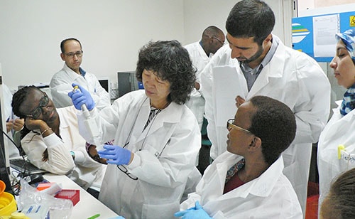 lab workers prepare sample