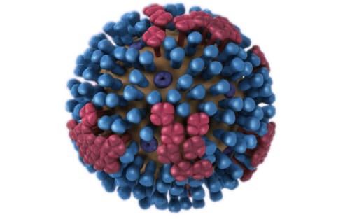 three-dimensional graphic of an avian flu molecule