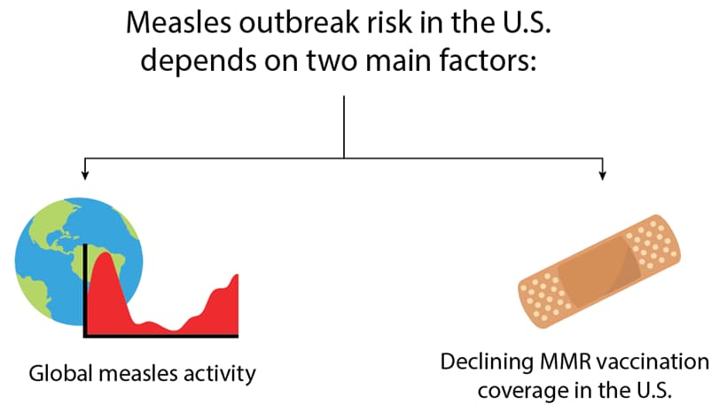 The two primary factors that contribute to measles outbreaks in the U.S. are global measles activity and declining MMR vaccination coverage in the U.S.
