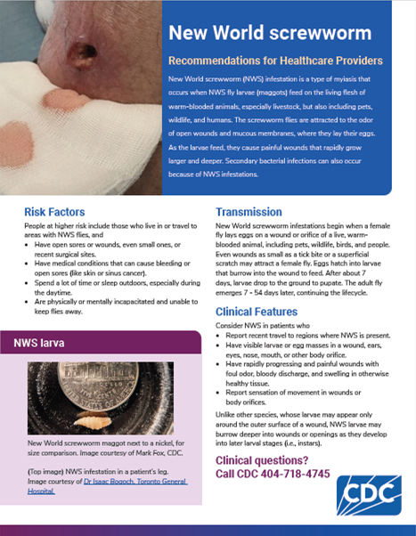 Recommendations for Healthcare Providers: New World Screwworm