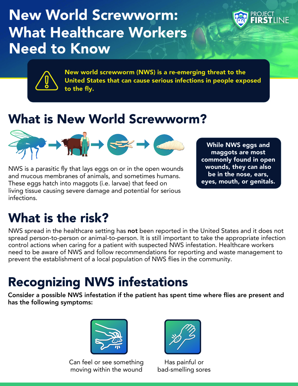 Screenshot of the first page of "New World Screwworm: What Healthcare Workers Need to Know"