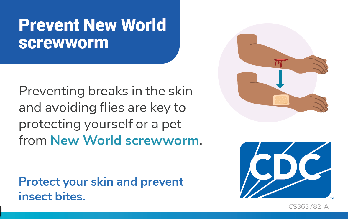 Palm Card: Prevent New World Screwworm