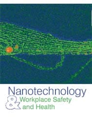 Cover of NIOSH document 2004-175
