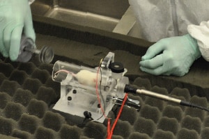 A white mouse rests in a small clear tube that is attached to a piece of metal (a plethysmograph). The tube is open at one end and the researcher’s gloved hand moves toward the tube with a silver tube-shaped stopper. The other end of the tube is sealed, with a plastic and metal wire of about &frac12; inch in diameter attached to it. There are also some thin wire leads attached to the plethysmograph . The researcher is wearing a white disposable lab coat and blue single-use gloves. The plethysmograph sits on a table covered with egg crate foam.