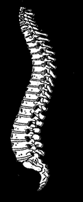 small spine