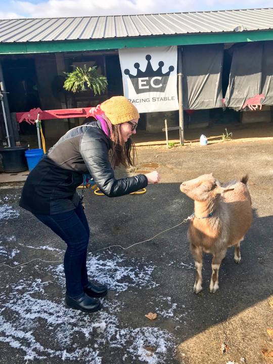 Woman greets a goat outside a race track