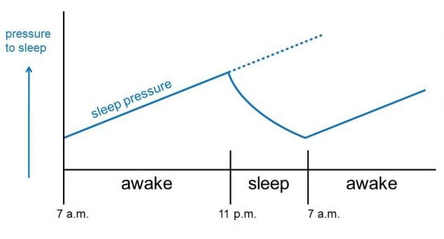 Graph showing Pressure to Sleep over time