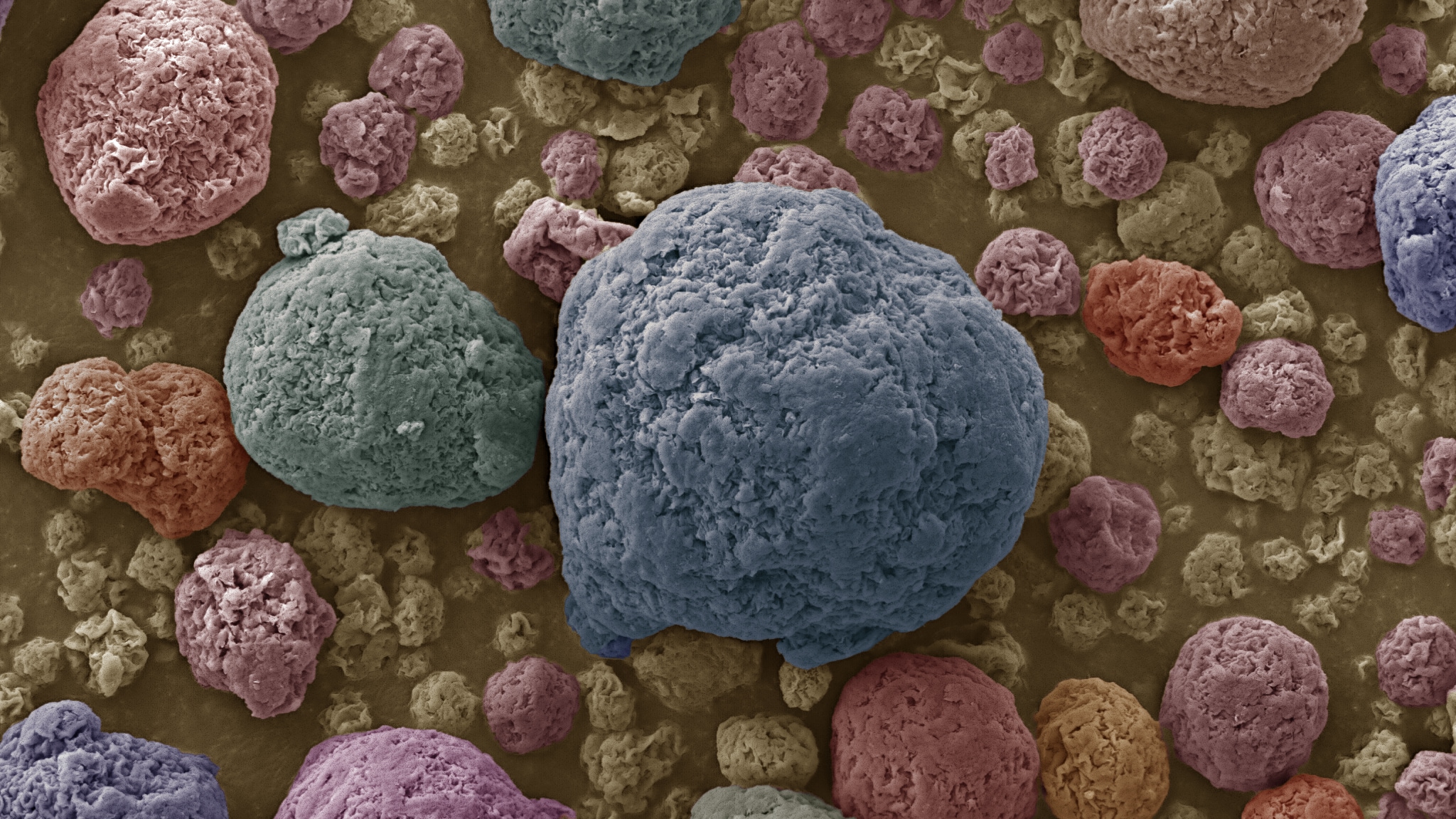 nanoclay particles