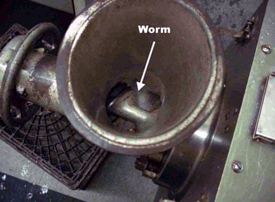 Interior of the bowl, showing the worm.