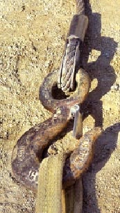 Photo 5 -- Close-up of hook and sling end.