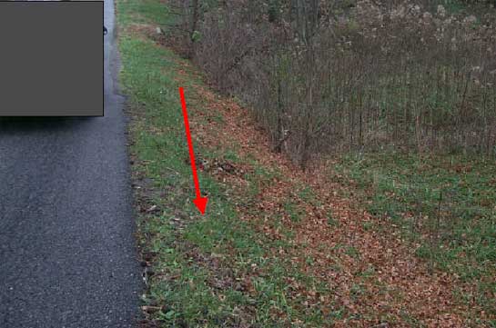 Embankment where tractor rolled. Slope 25 degrees. Arrow denotes direction tractor was moving.