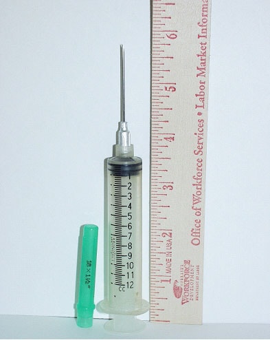 Photo #5. Copy of identical syringe used during incident.
