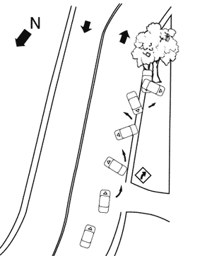 Diagram 1.  Police Accident Diagram