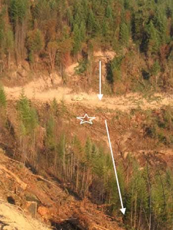 Arrows indicate the path of the Caterpillar as it tumbled off the skid road into the ravine. The star shows where the operator was thrown from the cab.
