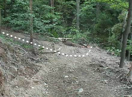 Figure 1. From left to right is the path the bulldozer followed while backing out of the newly constructed skid road. The end of the dotted line on the right depicts the nearly vertical drop-off.