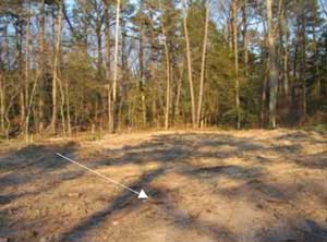 Figure 1. Cleared lot. Arrow indicates approximate lot location where tree struck victim.
