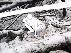 Figure 5. The photo shows the victim’s position when struck-by the birch.