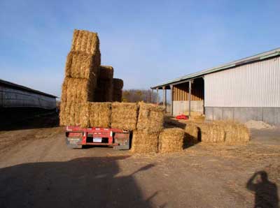 Trailer rear view, bales off trailer