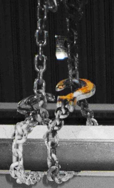 Exhibit 4. A picture of a chain sling in a chocker hitch position that was used to pick up the steel frame.