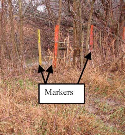 Markers in tree line