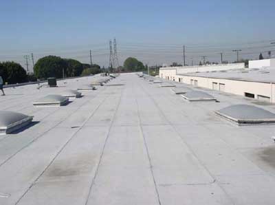 skylights on roof of building