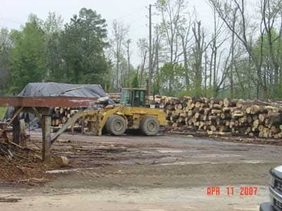 large forklift in log yard