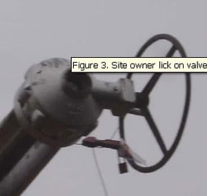 Figure 3. Site owner lock on valve.