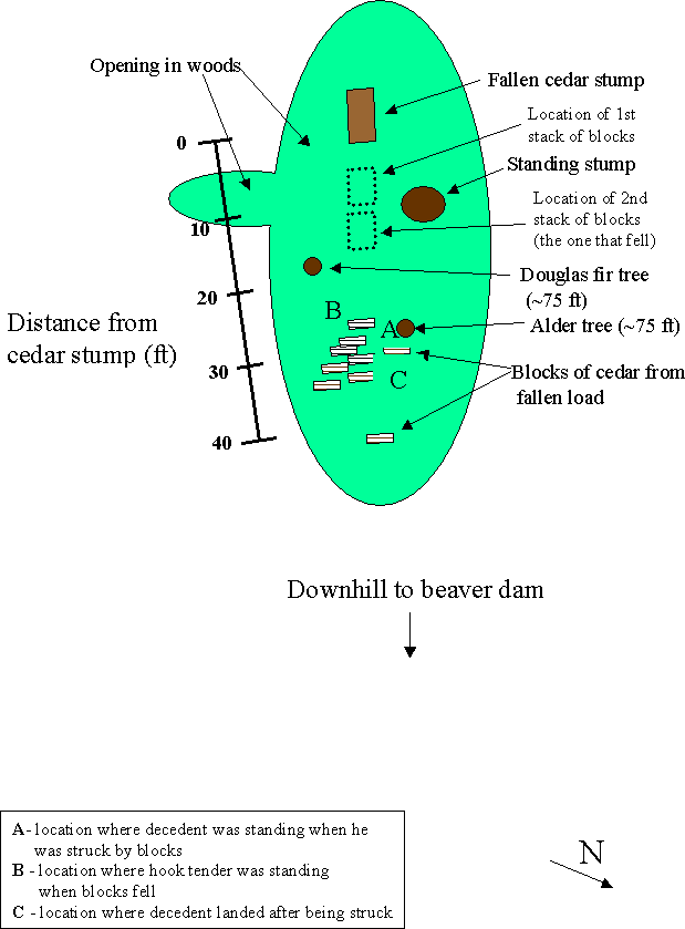 diagram of the site layout