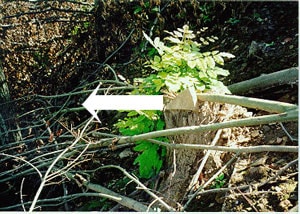 example of unstable rock positioned above incident site