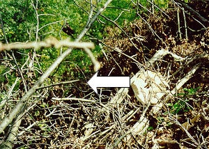 example of additional unstable rocks positioned above incident site