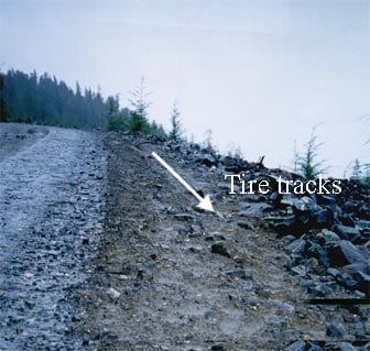 view of tire track approaching road shoulder an departure point from road