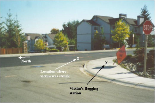 Figure 2. Victim's flagging post