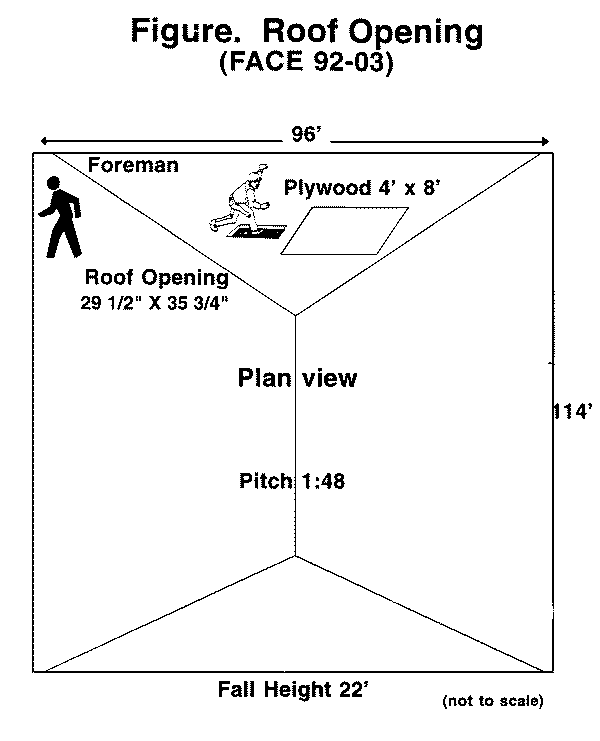 plan view of roof opening