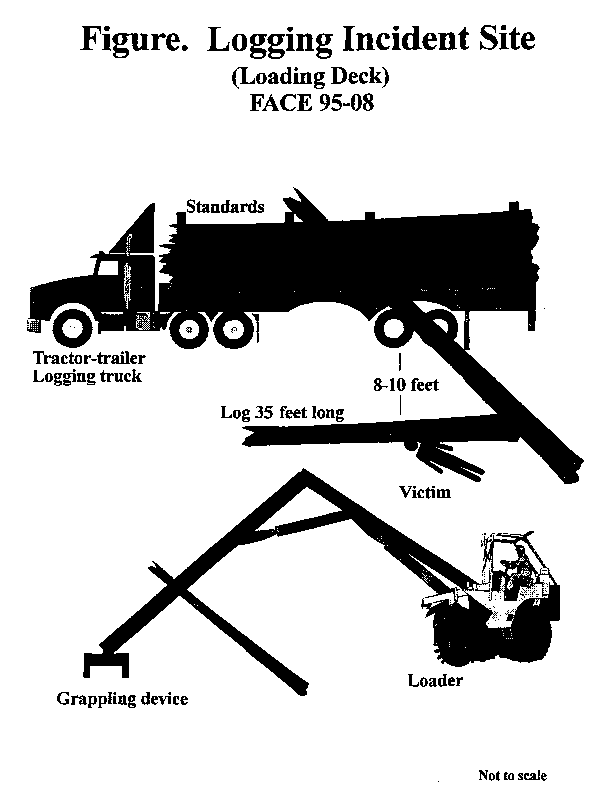 diagram of the logging incident site