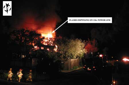 Photo 2. Photo showing flames impinging on power line.