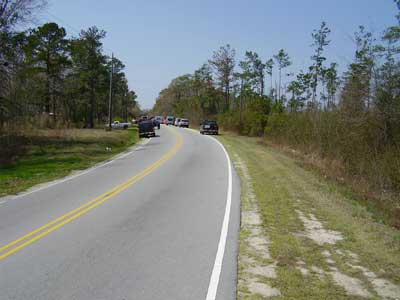 view of road bending left