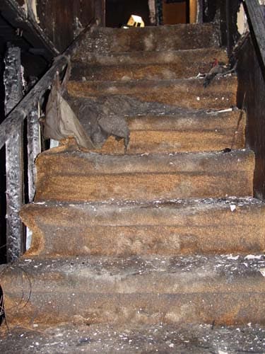 stairway leading from 1st floor down into the basement