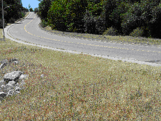 Steep section of a paved walking and jogging trail along the side of a road that fire fighters used for fitness training. 