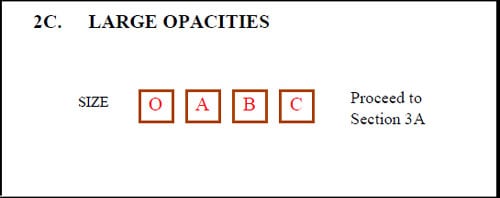 2B. Small Opacities form sample
