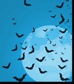 Bats