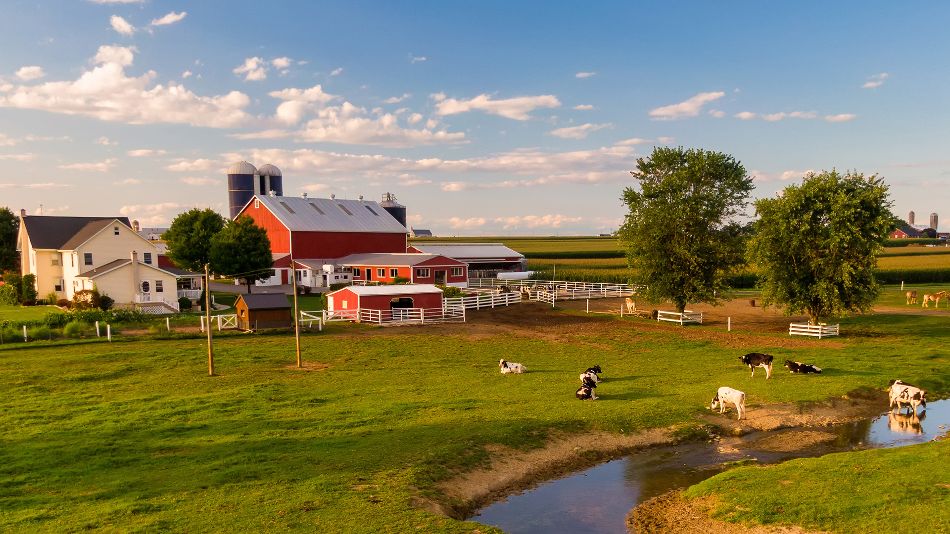 Photo of a farm from a distance with barn and livestock.