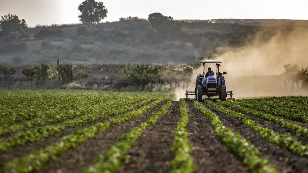 Tractor in agricultural field