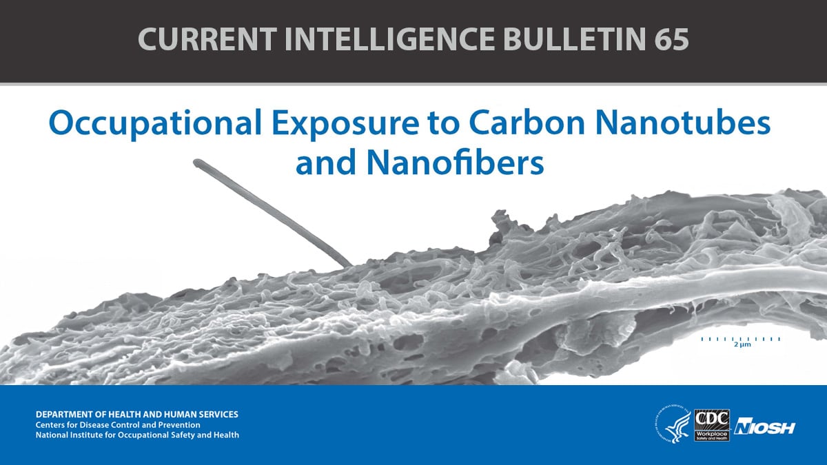 Cover for Current Intelligence Bulletin 65: Occupational Exposure to Carbon Nanotubes and Nanofibers