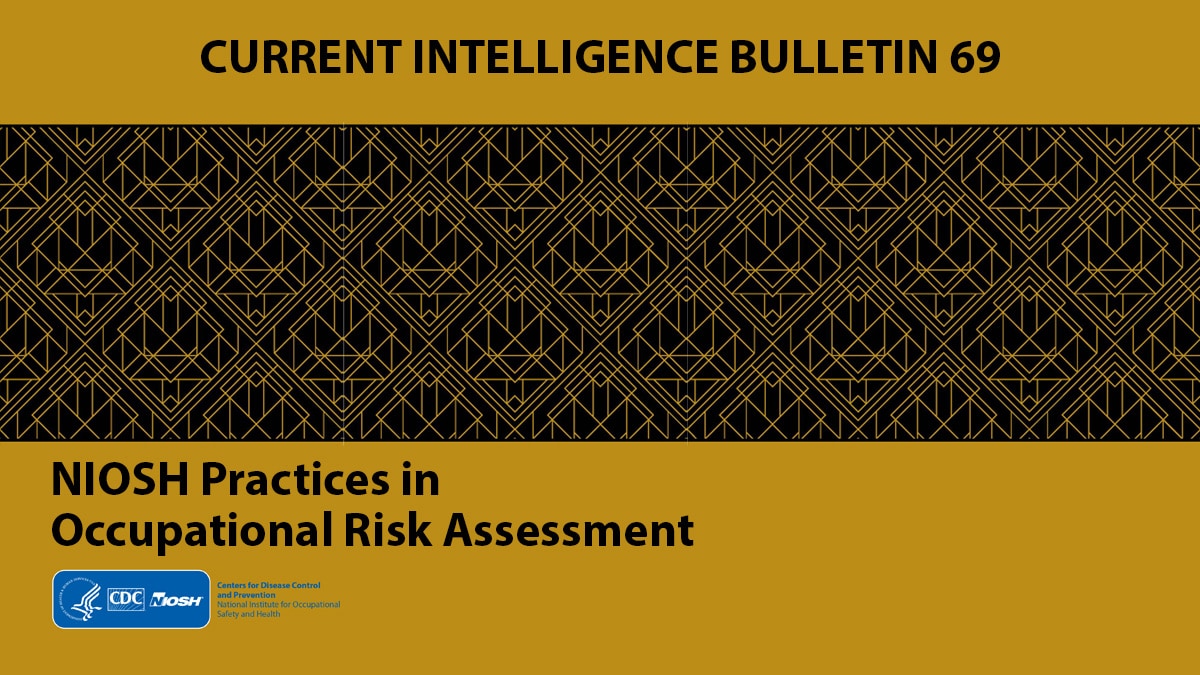 Cover for publication 2020-106 Current Intelligence Bulletin 69: NIOSH Practices in Occupational Risk Assessment