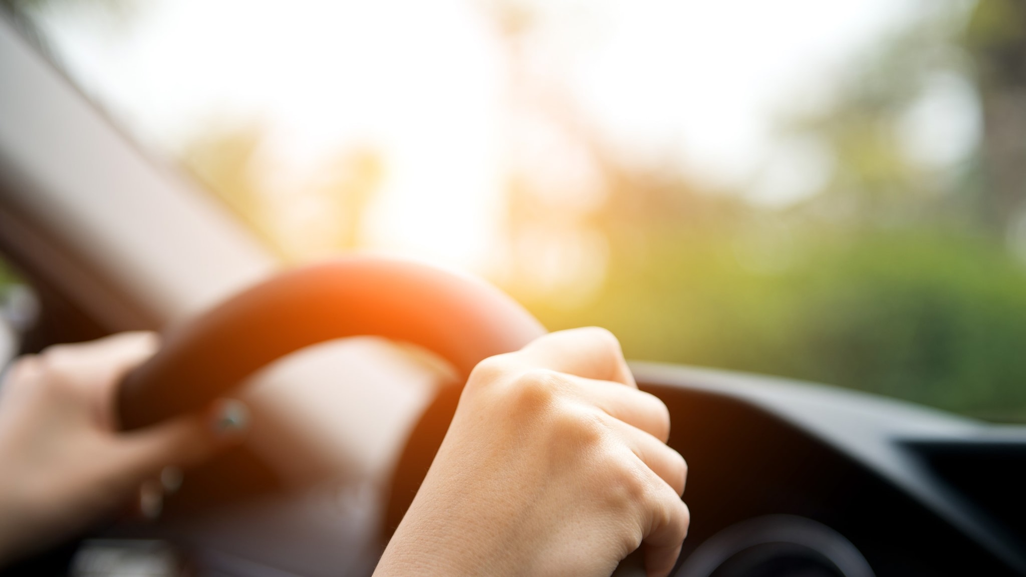 Driver hands on steering wheel