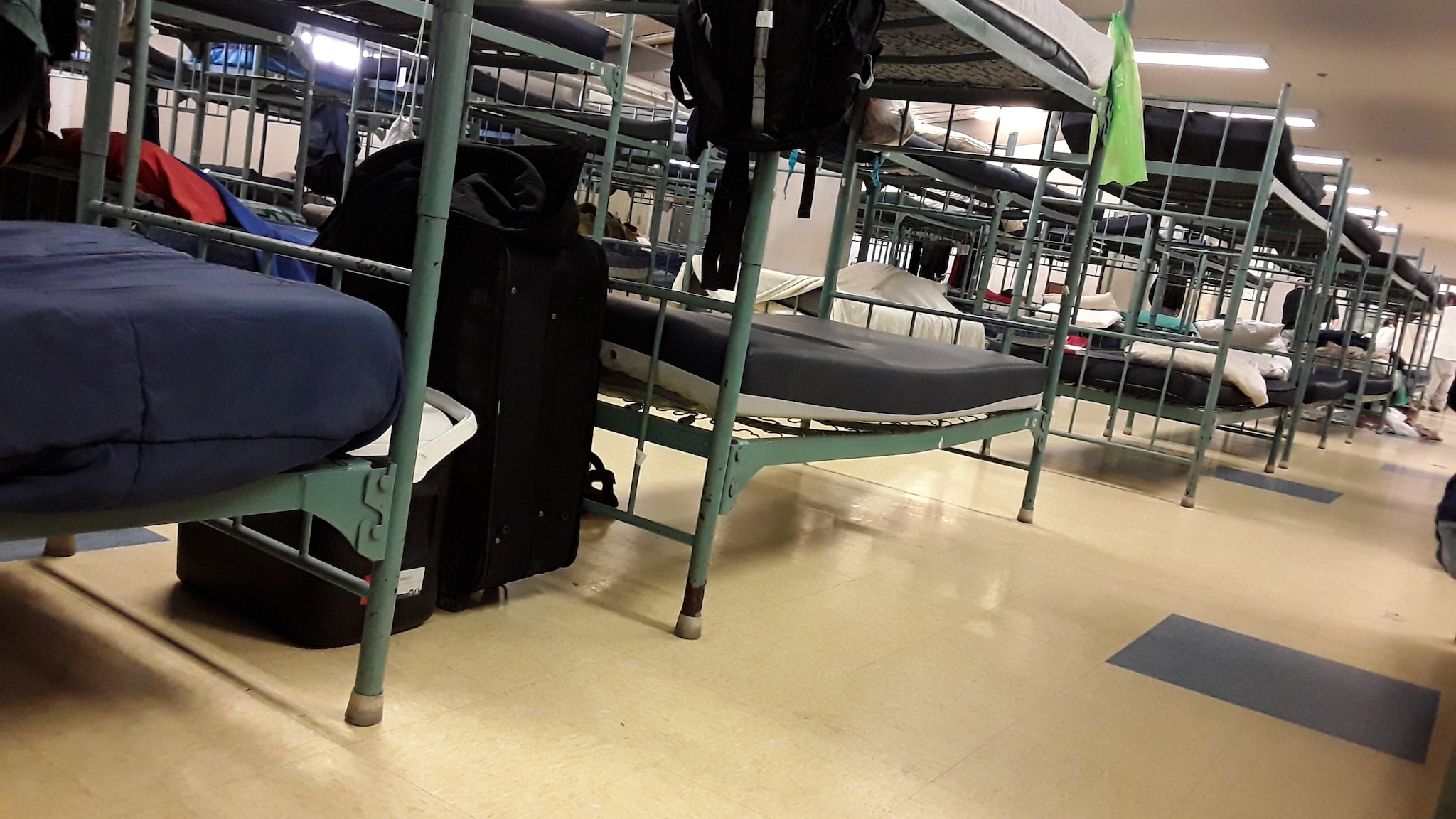 Sleeping cots in a homeless shelter.