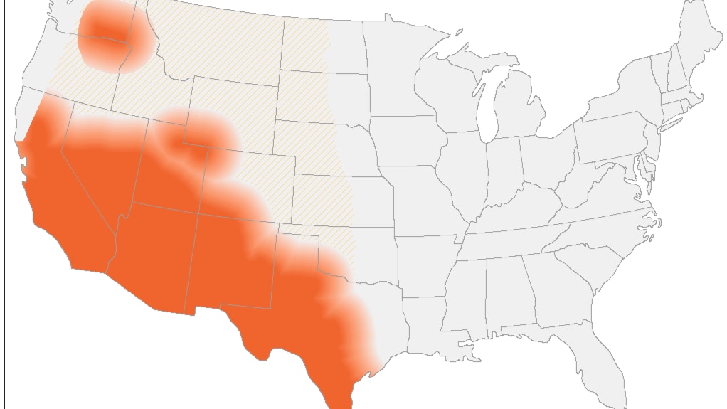 U.S. image of shaded areas in the west that are endemic for Valley Fever.